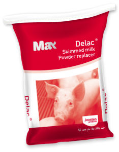 pig milk replacer