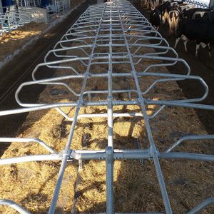cow cubicle 1