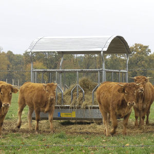 cattle hay rack 1