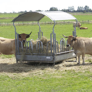 cattle hay rack 1