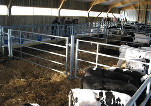 livestock gate 1