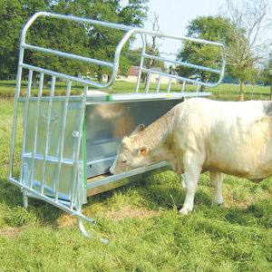 cattle hopper feeder