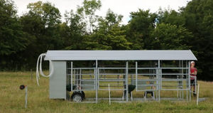 cow milking parlour 1