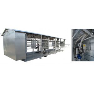 cow milking parlour 1