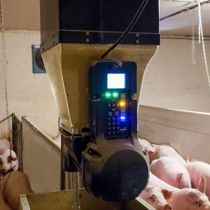 pneumatic automatic feeding system