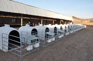 livestock hutch