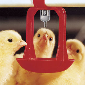 poultry waterer