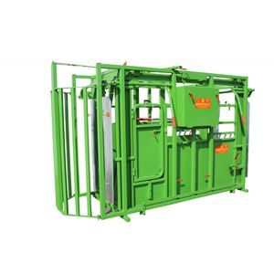 cattle crush with weighing system