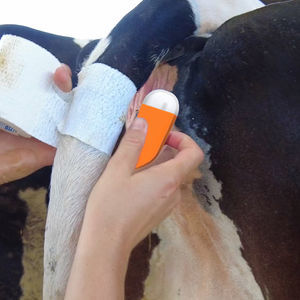 tail-mounted calving sensor