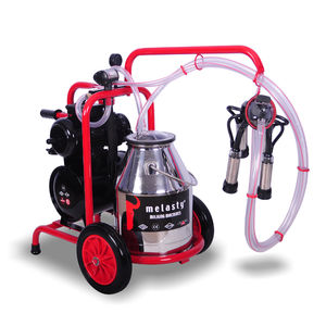 cow milking machine 1