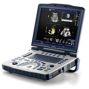 portable ultrasound scanner / for cattle / for reproductive imaging / battery powered