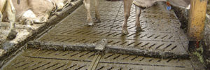 rope manure scraper