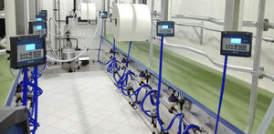 cow milking parlour / herringbone