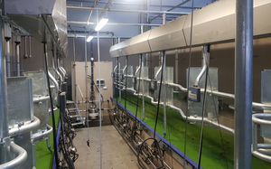 cow milking parlour
