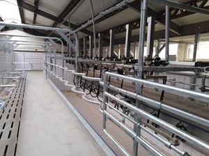 cow milking parlour / parallel / swing-over
