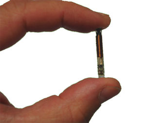 pig microchip implant