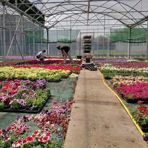 greenhouse roofing panel