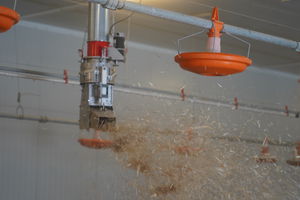 poultry nest