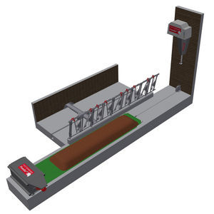 belt automatic feeding system