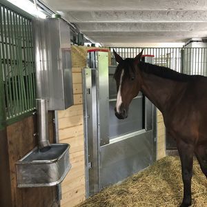 horse feeding equipement