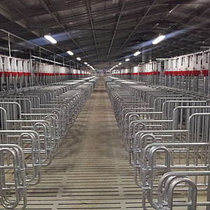 slatted floor weaning pen