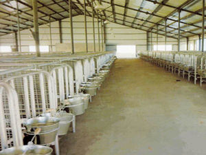 livestock hutch