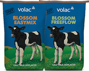 calf milk replacer / pellet