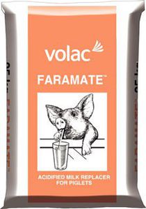 pig milk replacer