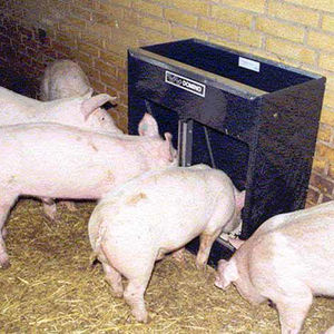 pig trough / stainless steel