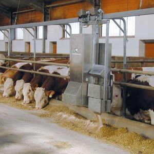 rail-mounted automatic feeding system