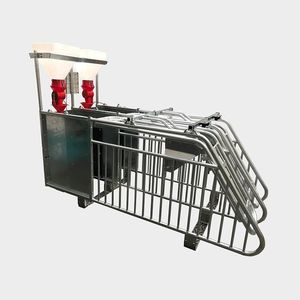 pig feeding equipement