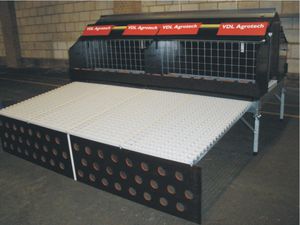 cages Broiler farming system