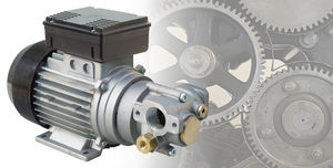 fuel pump / gear / dispensing