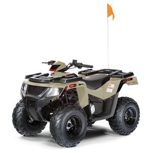 2WD quad bike 1