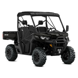 2WD side-by-side vehicle
