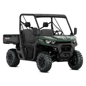 2WD side-by-side vehicle