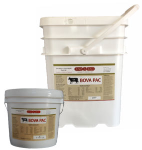 animal feed supplement / cattle / sheep / goat