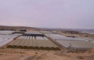 greenhouse covering film