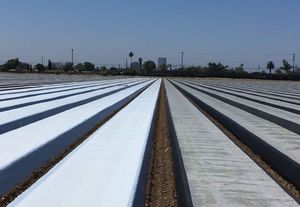 multi-layer plastic mulch