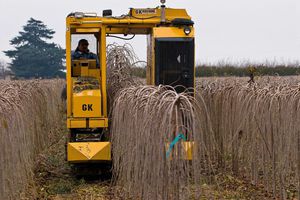 self-propelled rootballing machine