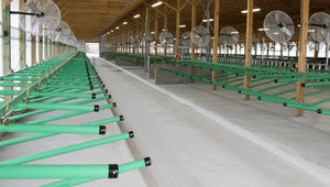 cow cubicle
