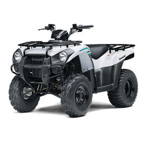 2WD quad bike