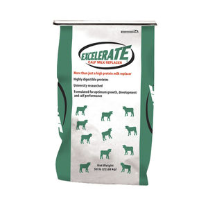 calf milk replacer / powder