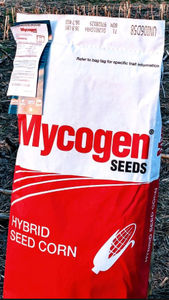 early corn seeds / grain / eyespot resistant / hybrid