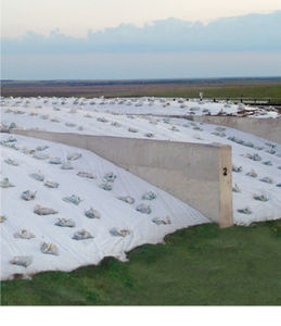 silage covering film