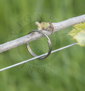 vineyard tie