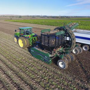 sugar beet harvester machine