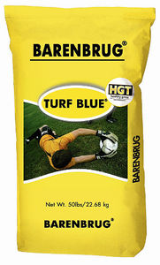 seed turf