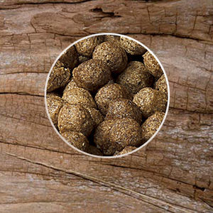 animal feed supplement / fish / vitamin / amino acid