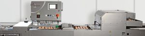 egg grader